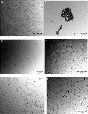 Photodynamic Antimicrobial Action of Asymmetrical Porphyrins Functionalized Silver-Detonation Nanodiamonds Nanoplatforms for the Suppression of Staphylococcus aureus Planktonic Cells and Biofilms